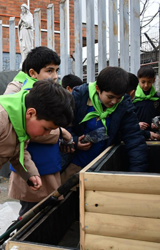 Brigada Ecológica crea huerto medicinal en Talca 