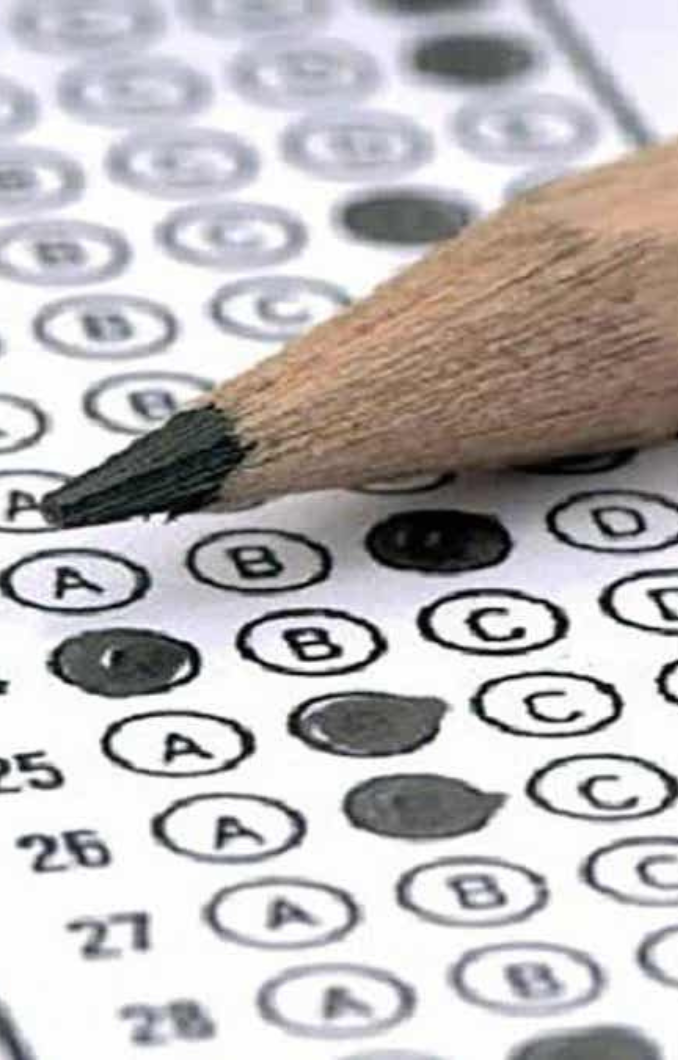 PAES 2025: Tres puntajes nacionales y un camino de excelencia en el COM 