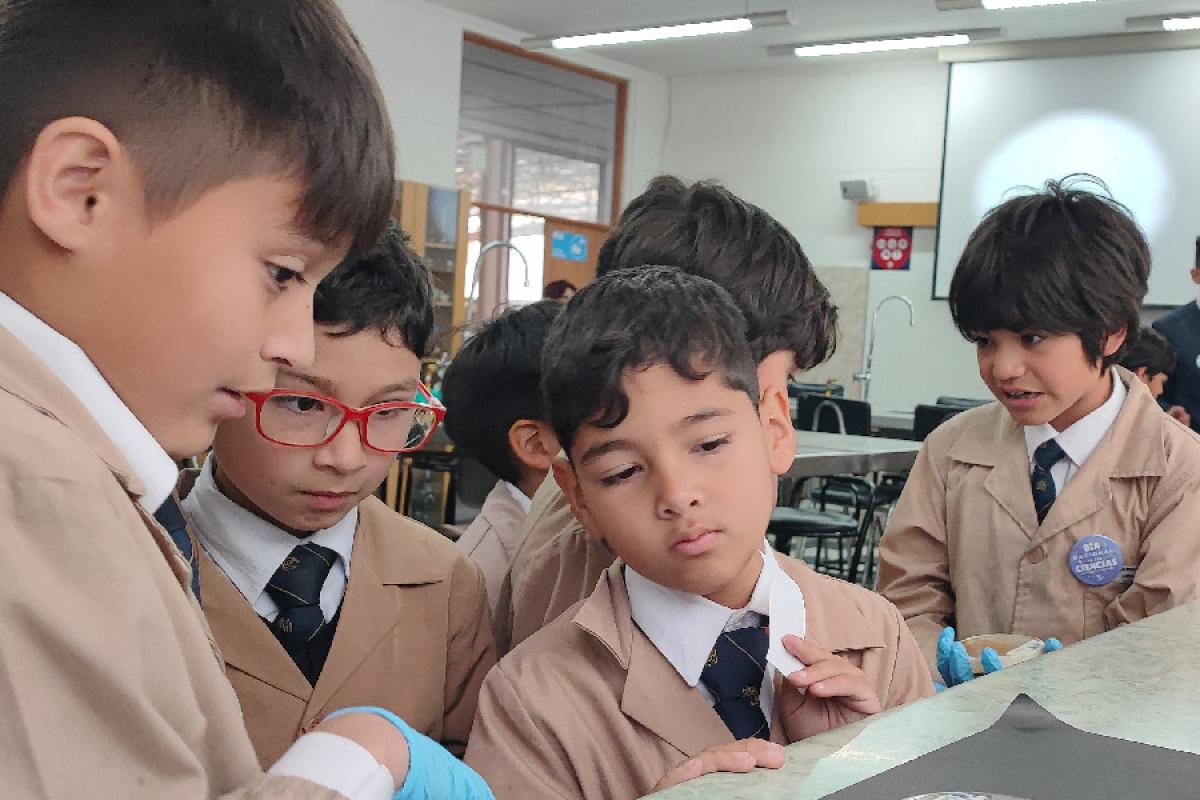 Salesianos Valparaíso celebró Día Nacional de las Ciencias