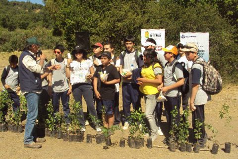 Escuela Agrícola de Catemu obtiene Certificación Medioambiental Escolar