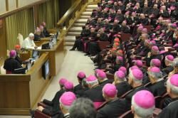 Aporte salesiano en el Sínodo de los Obispos