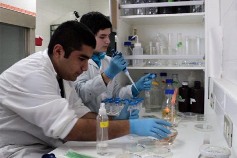 Concepción – Colegio seleccionado para participar en importante Congreso de Ciencia