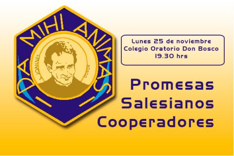 Promesas 2013 Salesianos Cooperadores