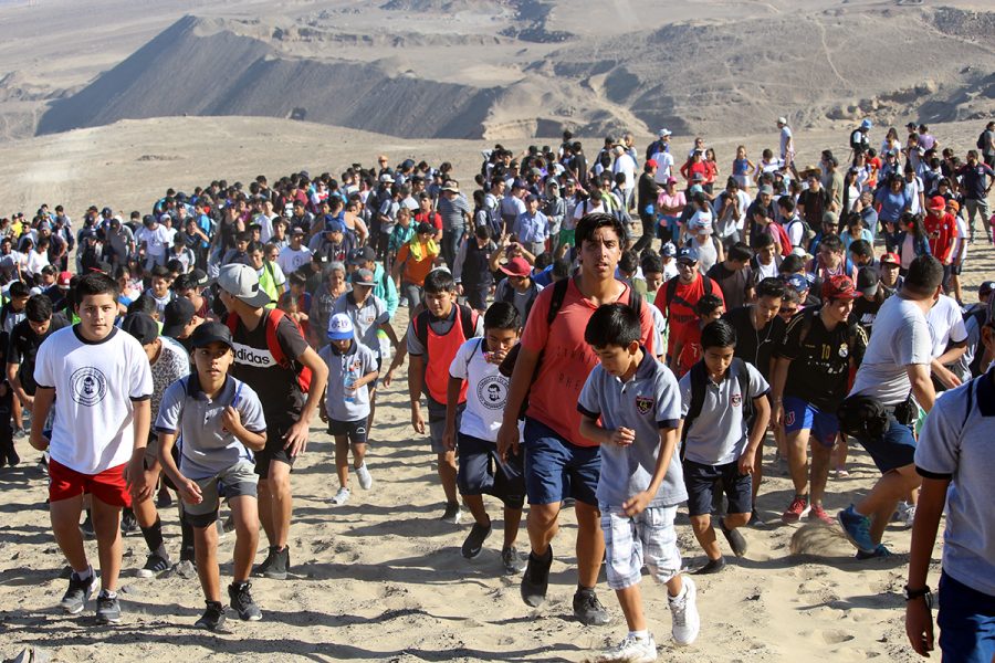 Día mundial de la actividad física en Antofagasta