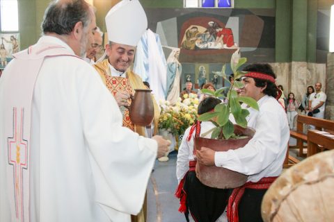 Monseñor Héctor Vargas Bastidas, Obispo de Temuco