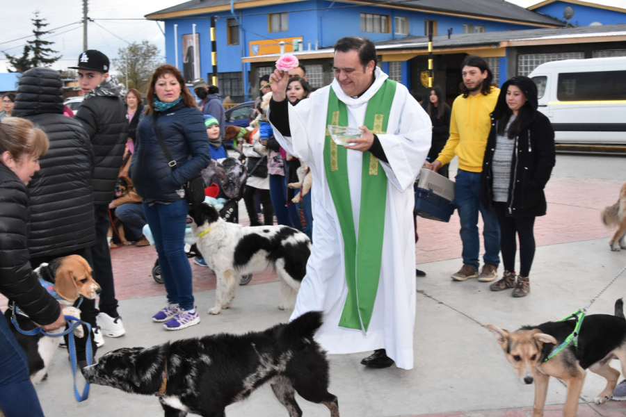 Celebración fiesta San Francisco De Asís en Puerto Natales