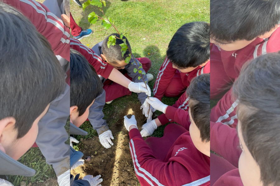 Estudiantes del IDB plantan árboles a los pies del monumento a Don Bosco