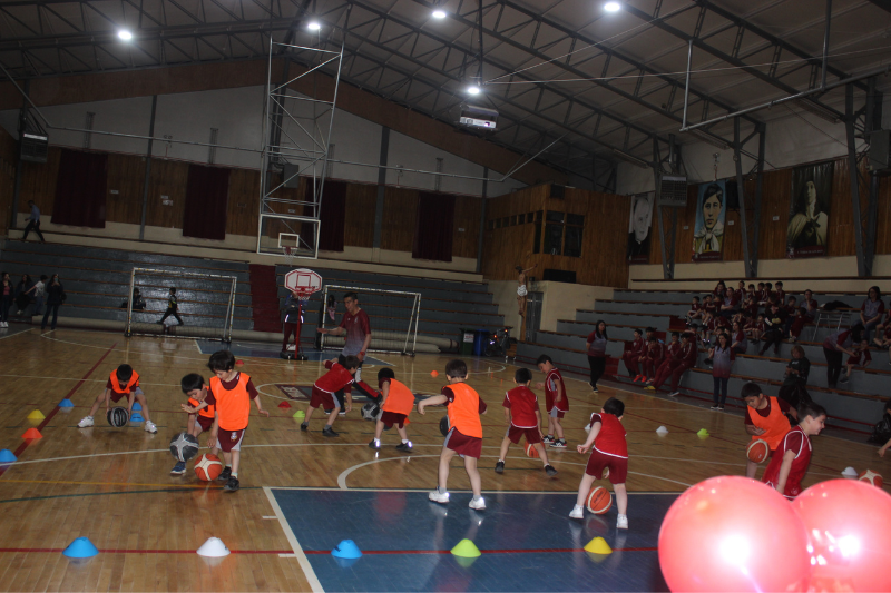 Muestra educación física Instituto don Bosco
