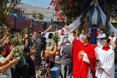 Obras salesianas de Catemu, Valdivia y Antofagasta celebran Domingo de Ramos
