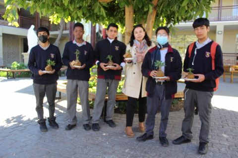 Salesianos Copiapó: estudiantes regalan kokedamas por el medioambiente