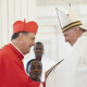 Un día de fiesta para la Familia Salesiana: el Rector Mayor es Cardenal